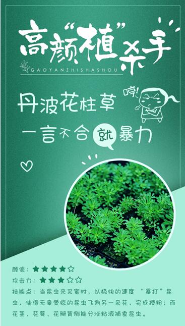 Bsports必一体育-第二轮中央生态环保督察再现触目惊心案件(图2) b体育