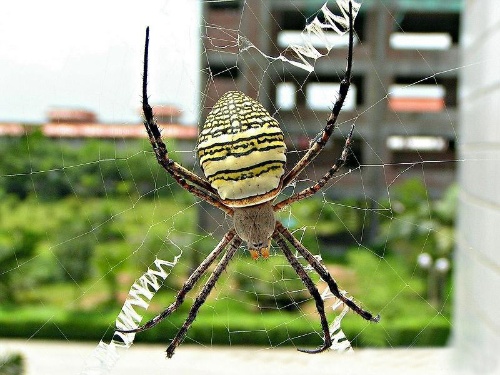 曝光台:河北、山西、北京等地企业(单位)存环境问题:必一(图4) 必一