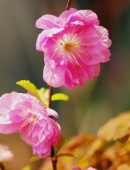 从超市走向社区新零售 娃哈哈一年内将在全国开1000家线下实体生活馆-Bsports必一体育(图2) b体育