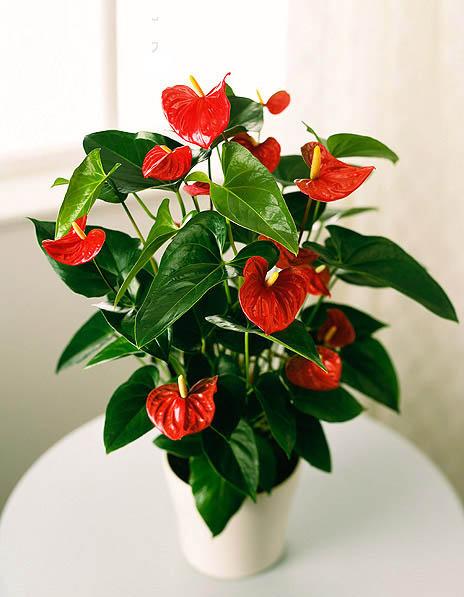 盘点绿色债券 11.15-11.25-必一(图2) b体育