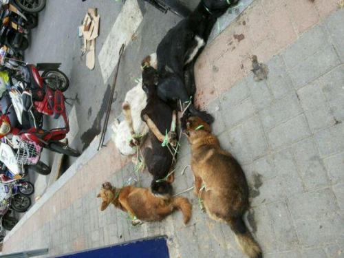 Bsports必一体育:80页的笔记阅读机械学习的基本思想、算法和模型 帮助新手少走弯路(图1) 必一