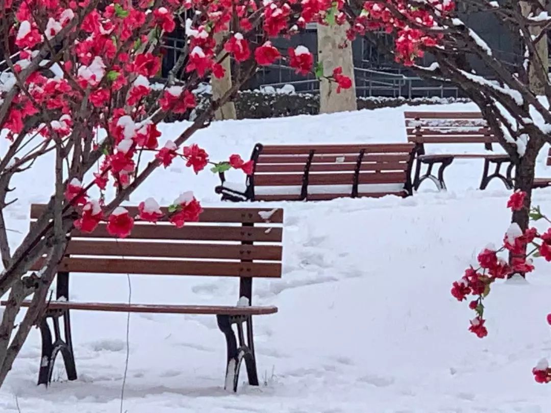 最强大脑第四季国际赛战况怎么样?国际赛PK结果曝光_Bsports必一体育(图1) 必一